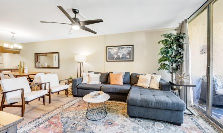 Scottsdale Starlight 2