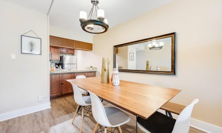 Scottsdale Starlight 6