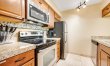 Scottsdale Starlight 8