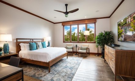 Tropical Ease 8