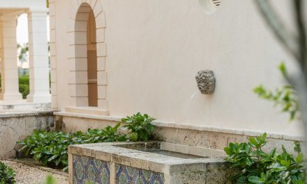 Corales and Columns 6