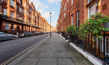 Morning in Chelsea 7