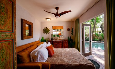 Palm Ember Nights 8