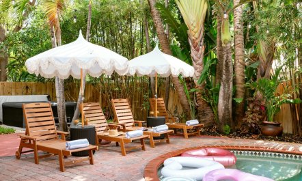 Palm Ember Nights 2