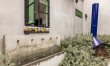 Bamboo and Embers 4