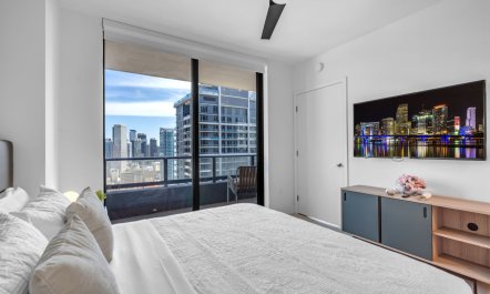 Skyline & Palms 7