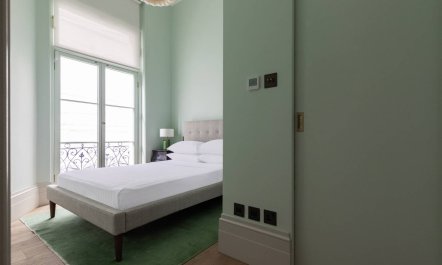 Buckingham Rose 7