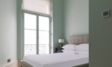 Buckingham Rose 9