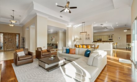 Agave & Open Sky 2
