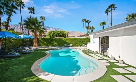 Mountain Palm Sway
