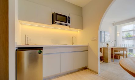 Polanco Abode 6