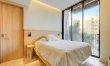 Polanco Reverie 1