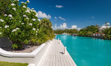 Leeward in Bloom 8