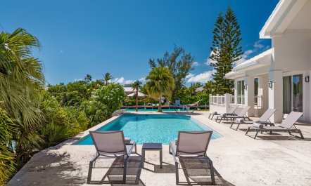 Leeward in Bloom 4