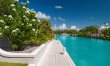 Leeward in Bloom 8