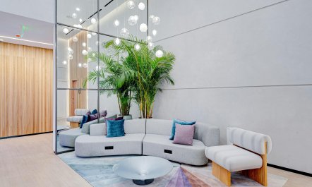 Miami Mambo 5