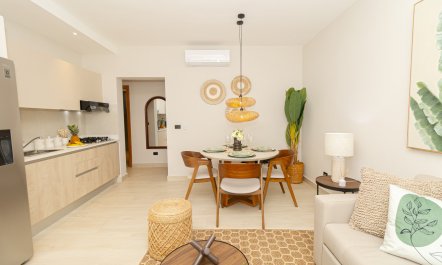 Dominicus Breeze 4