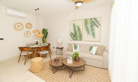 Dominicus Breeze 1