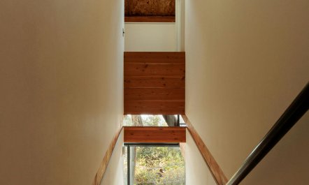 Glass Among Firs 6