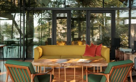 Glass Among Firs 2