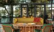 Glass Among Firs 2