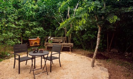 Cenote & Chef's Fire 6
