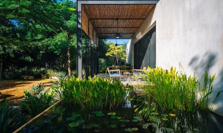 Cenote & Chef's Fire 7