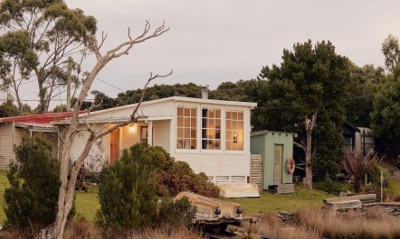 Wisteria & Water 1