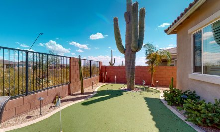 Saguaro After Dark 6