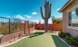 Saguaro After Dark 6