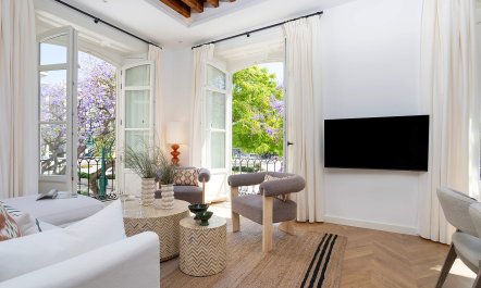 Jacaranda & Larios 4