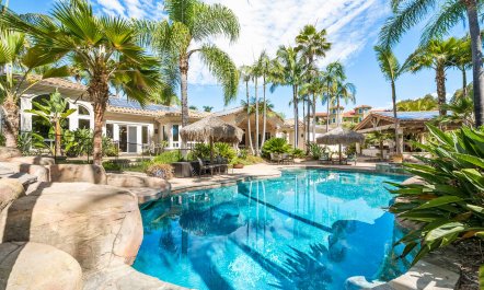 Palms & the Pond