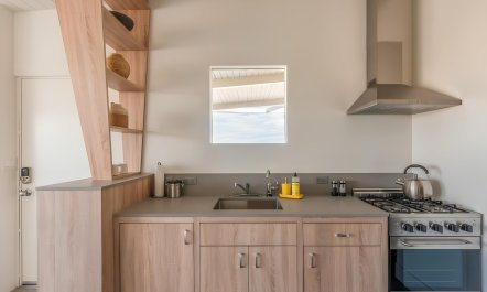 Midcentury Mojave 4