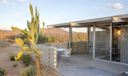 Midcentury Mojave 8