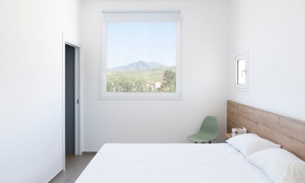 Mountains & Olive Groves 7