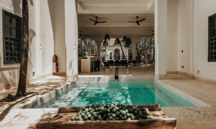 Riad in the Jungle