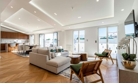 Cannes in Light