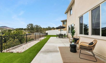 San Diego Poppy 1