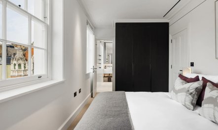 Montpelier Muse 7