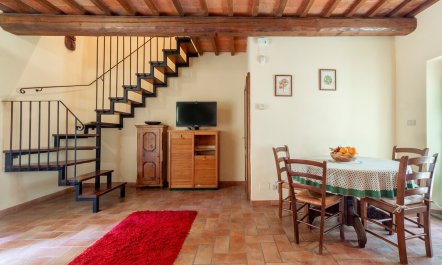 Dovecote & Olives 4