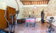 Dovecote & Olives 1