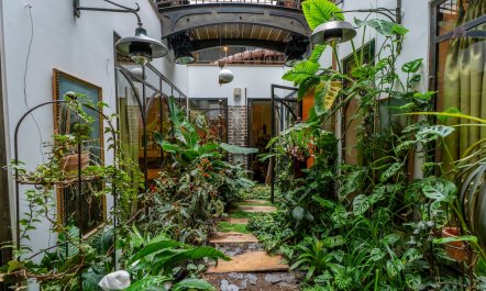 Jungle & Brick 1