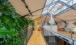 Jungle & Brick 6