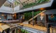 Jungle & Brick 4