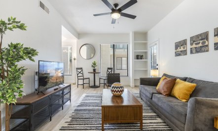 Sunny Desert Oasis 2