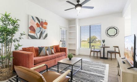 Sunny Desert Oasis 7
