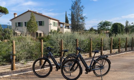 Bolgheri Starlight 8