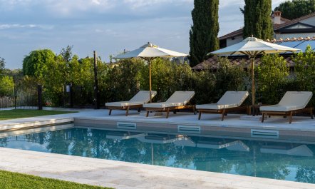 Bolgheri Starlight 6
