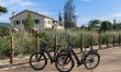 Bolgheri Starlight 8