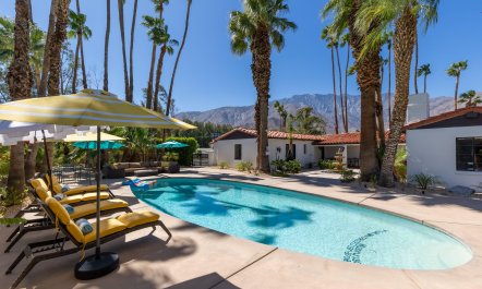 Pampas & Palms 1